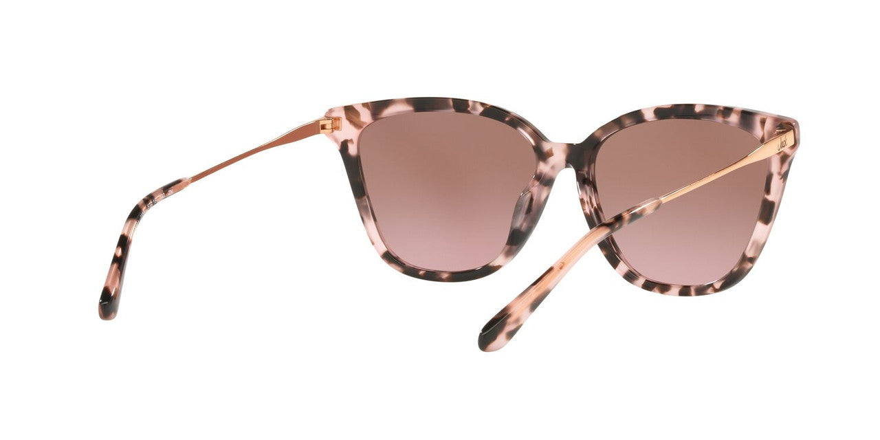 Anteojos De Sol Jack Pacific JK6001M Rosa/Havana