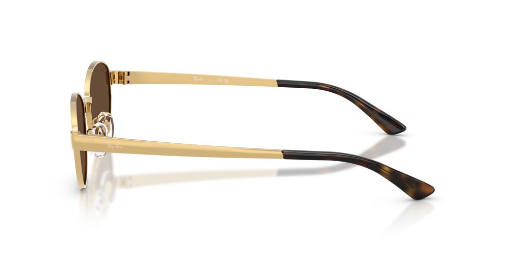 Anteojos De Sol Ray-Ban RB3774D Arista Dark Brown Café/Dorado