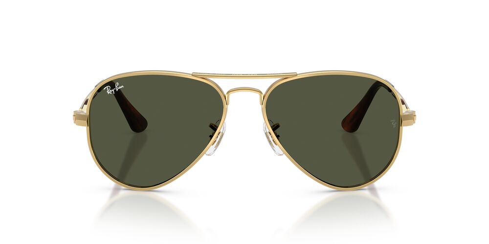 Anteojos De Sol Ray-Ban RB3925 Aviator Max Arista Green