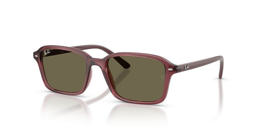 Anteojos De Sol Ray-Ban RJ9131S Transparent Dark Violet Brown