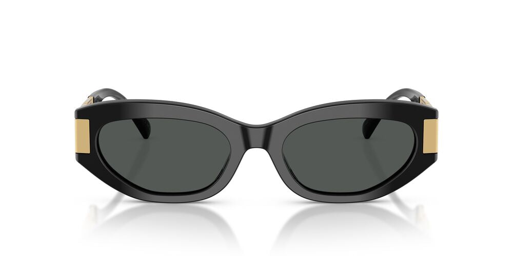 Anteojos De Sol Versace VE4501 Black Dark Grey