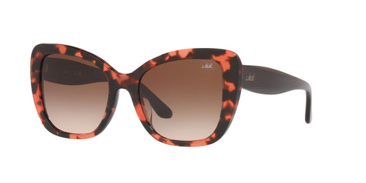 Anteojos De Sol Jack JK6003U Café/Havana