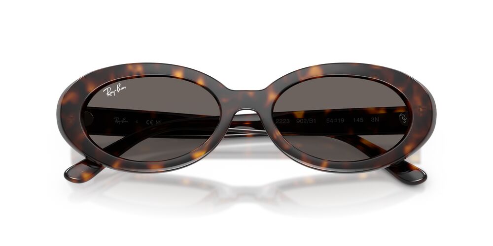 Anteojos De Sol Ray-Ban 0RB2223 Gris/Havana