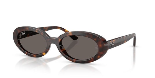 Anteojos De Sol Ray-Ban 0RB2223 Gris/Havana
