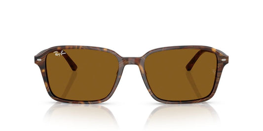 Anteojos De Sol Ray-Ban RB2231 Raimond Café/Café
