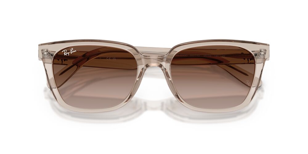 Anteojos De Sol Ray-Ban 0RB2243D Café/Marrón