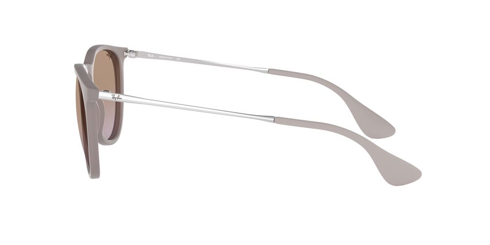 Anteojos De Sol Ray-Ban RB4171 Erika Café/Café