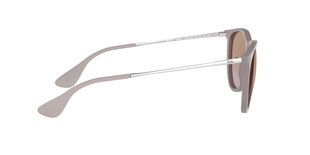 Anteojos De Sol Ray-Ban RB4171 Erika Café/Café