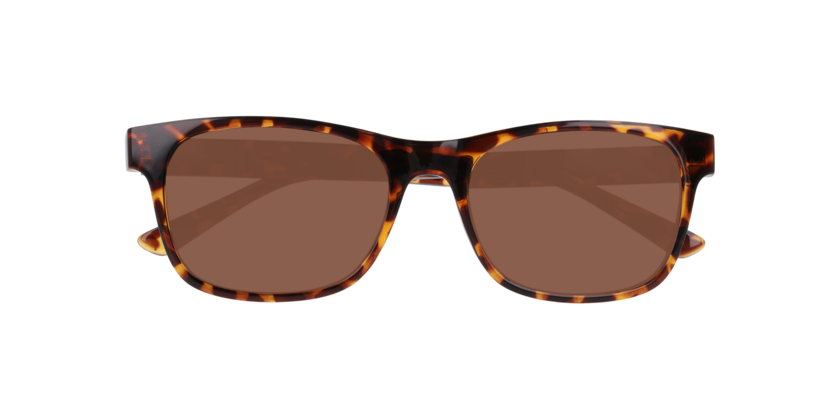 Anteojos De Sol Seen NE6078 Havana Brown Café/Havana