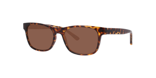 Anteojos De Sol Seen NE6078 Havana Brown Café/Havana