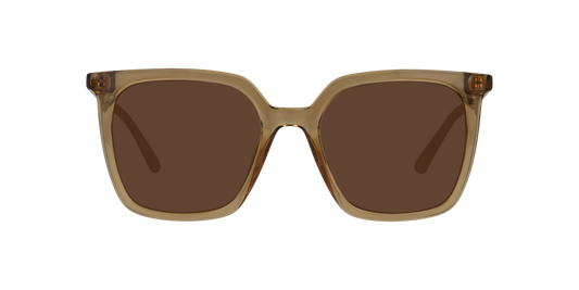 Anteojos De Sol Seen NE6076 Café/Café