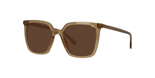 Anteojos De Sol Seen NE6076 Café/Café