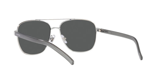 Anteojos De Sol Arnette AN3087 Walvis Gris/Plateado
