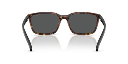 Anteojos De Sol Arnette AN4311 Havana Dark Grey Polar Gris/Havana