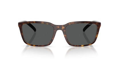 Anteojos De Sol Arnette AN4311 Havana Dark Grey Polar Gris/Havana