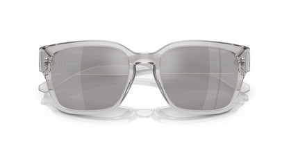Anteojos De Sol Arnette AN4325 Hamie Gris/Gris