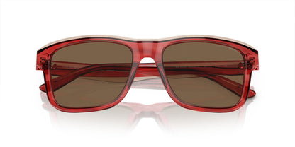Anteojos De Sol Emporio Armani EA4208 Café/Burdeo