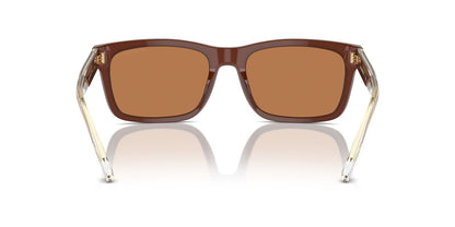 Anteojos De Sol Emporio Armani EA4224 Café/Café