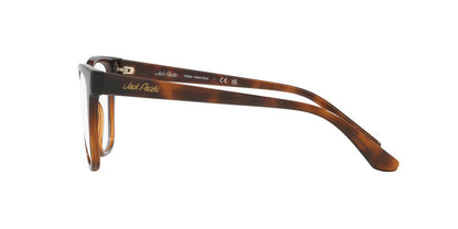 Anteojos De Sol Jack Pacific 0JK1038 Dark Havana Gradient Brown Café/Havana