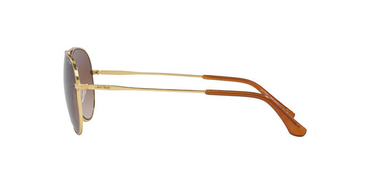 Anteojos De Sol Jack Pacific JK3009 Café/Dorado
