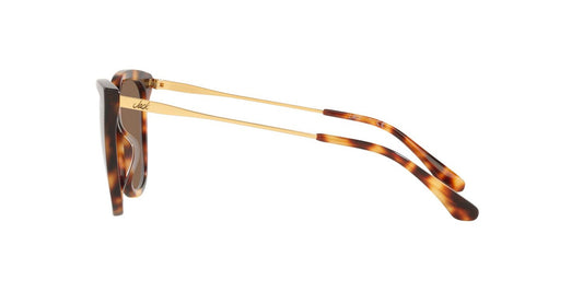 Anteojos De Sol Jack Pacific JK6001M Café/Havana