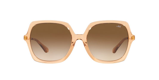Anteojos De Sol Jack Pacific JK6002M Café/Beige