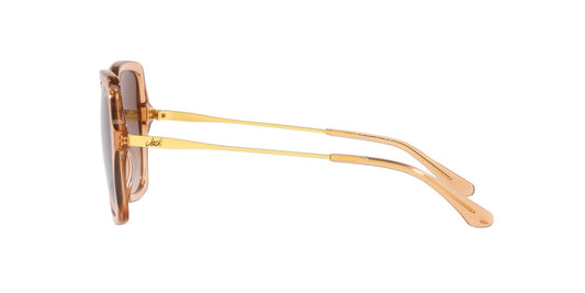 Anteojos De Sol Jack Pacific JK6002M Café/Beige