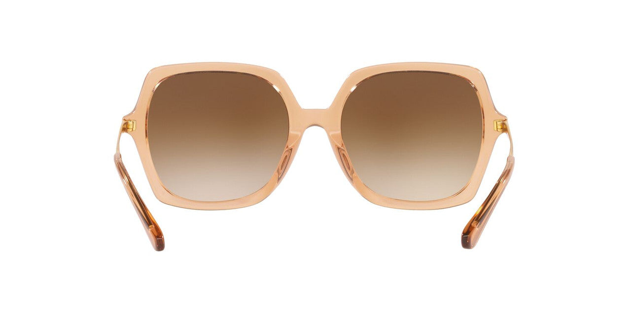 Anteojos De Sol Jack Pacific JK6002M Café/Beige