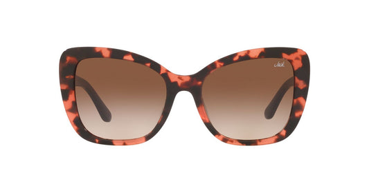 Anteojos De Sol Jack Pacific JK6003UM Café/Havana