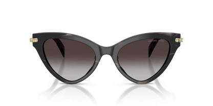 Anteojos De Sol Michael Kors MK2259U Roanoke Black Horn Light Grey Gradient