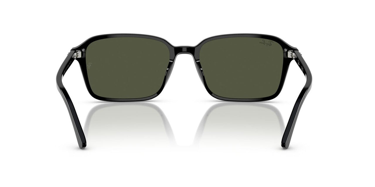 Anteojos De Sol Ray-Ban RB2231 Raimond Verde/Negro