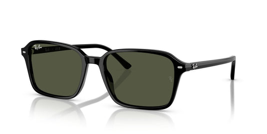 Anteojos De Sol Ray-Ban RB2231 Raimond Verde/Negro