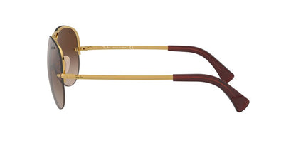 Anteojos De Sol Ray-Ban RB3449 Café/Dorado