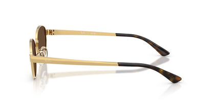 Anteojos De Sol Ray-Ban RB3774D Arista Dark Brown Café/Dorado