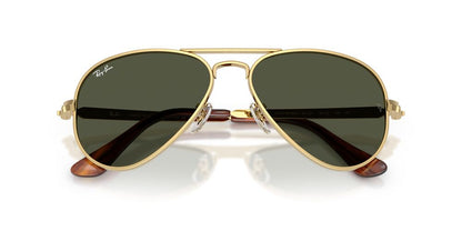 Anteojos De Sol Ray-Ban RB3925 Aviator Max Arista Green