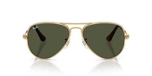Anteojos De Sol Ray-Ban RB3925 Aviator Max Arista Green