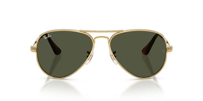 Anteojos De Sol Ray-Ban RB3925 Aviator Max Arista Green