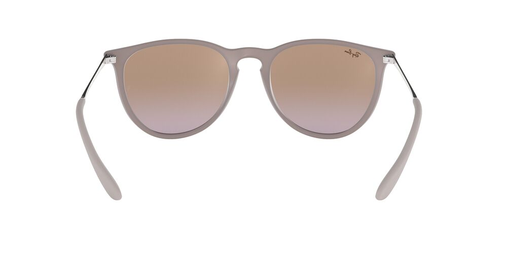 Anteojos De Sol Ray-Ban RB4171 Erika Café/Café