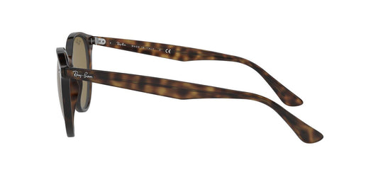 Anteojos De Sol Ray-Ban RB4305 Café/Havana