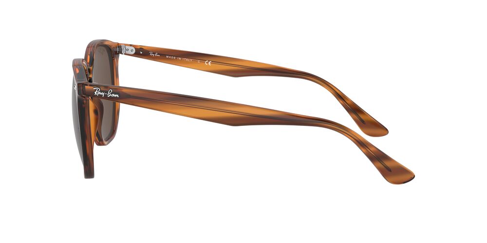 Anteojos De Sol Ray-Ban RB4306 Café/Havana