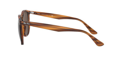 Anteojos De Sol Ray-Ban RB4306 Café/Havana