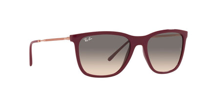 Anteojos De Sol Ray-Ban 0RB4344 Gris/Rojo