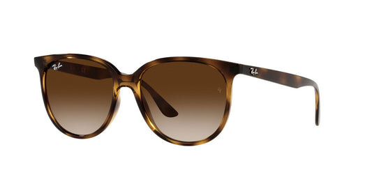 Anteojos De Sol Ray-Ban RB4378 Café/Havana
