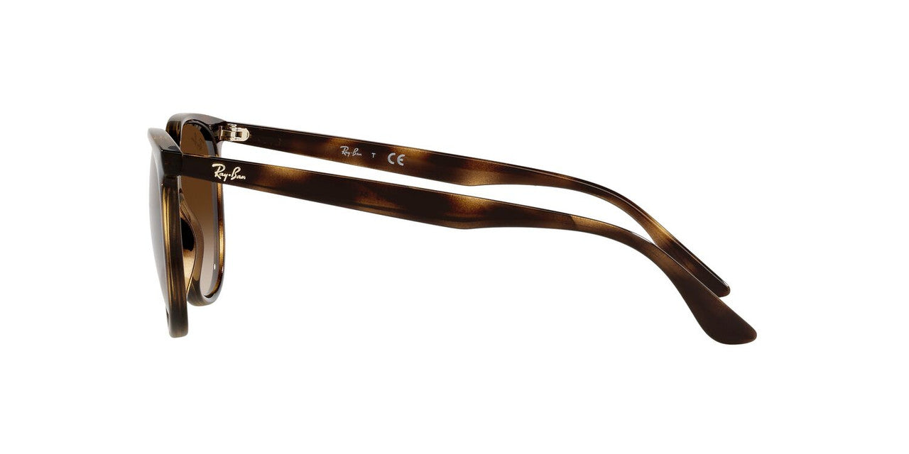 Anteojos De Sol Ray-Ban RB4378 Café/Havana