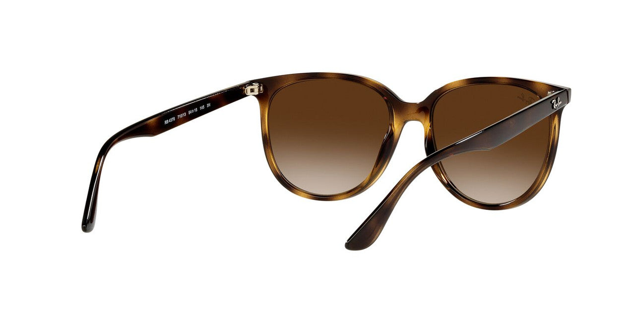 Anteojos De Sol Ray-Ban RB4378 Café/Havana