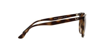 Anteojos De Sol Ray-Ban RB4378 Café/Havana