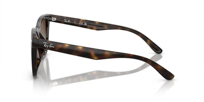 Anteojos De Sol Ray-Ban 0RB4420 Café/Havana