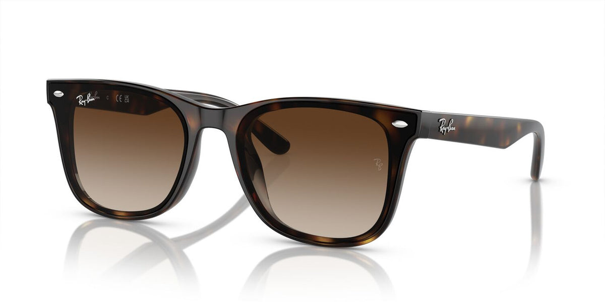 Anteojos De Sol Ray-Ban 0RB4420 Café/Havana