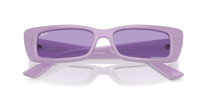 Anteojos De Sol Ray-Ban 0RB4425 Teru Violeta/Violeta