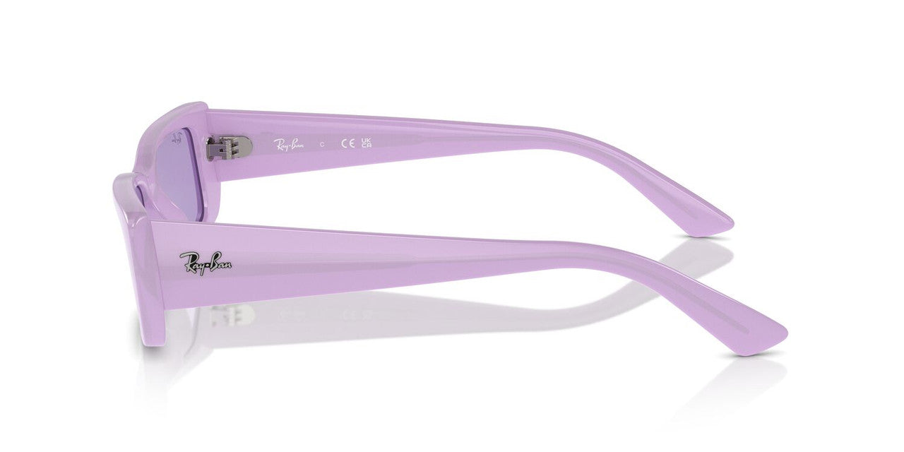 Anteojos De Sol Ray-Ban 0RB4425 Teru Violeta/Violeta